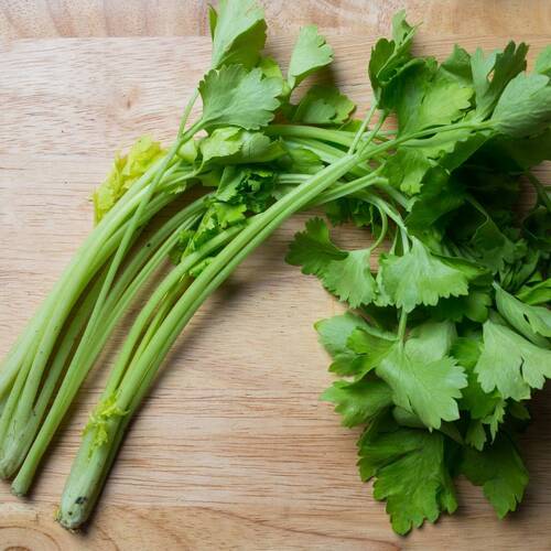 Chinese Celery- Light Green