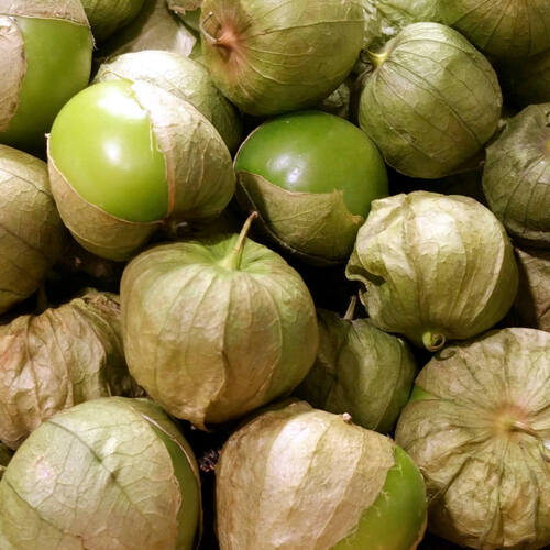 Tomatillo- Verde Puebla