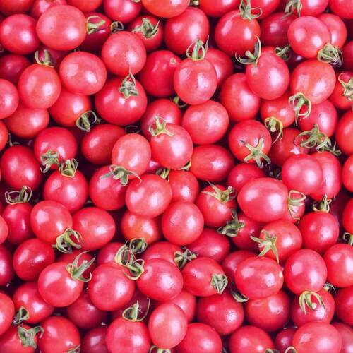 Tomato- Pink Marbles