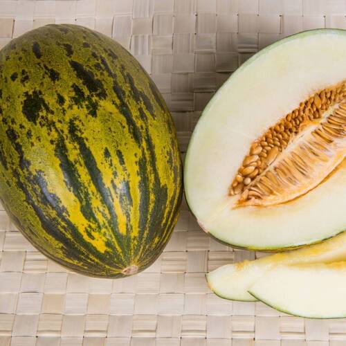 Piel de Sapo