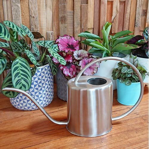 1.5L Polished Stainless Steel Watering Can
