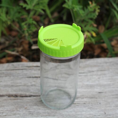 Glass Sprouting Jar- Small