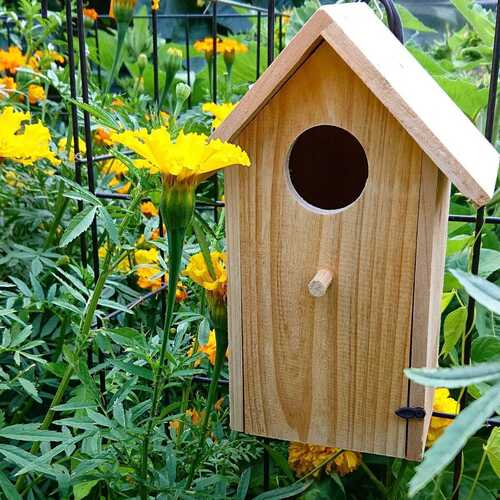 Bird Nesting Box- Small
