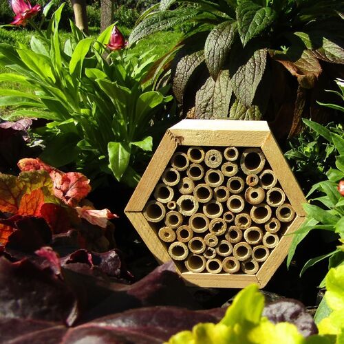 Small Hexagon Bee & Insect House- Bamboo