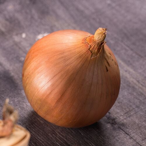 Onion- Australian Brown