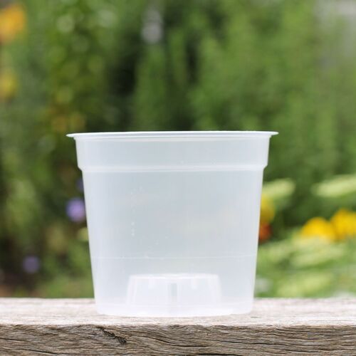 150mm Clear Orchid Pot