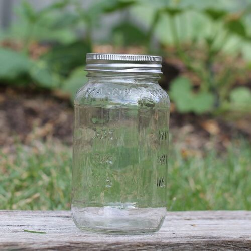 Glass Sprouting Jar- Large