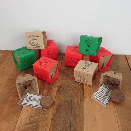 Pot Packs- Christmas 8 Pack