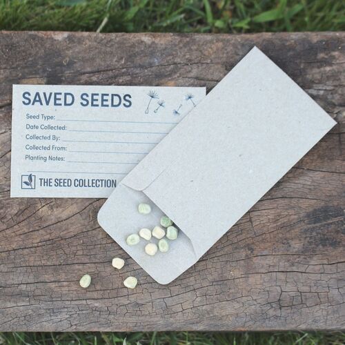 Seed Saving Envelopes- 20 Pack