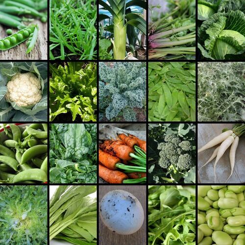 Vegetable Seed Collection- Autumn and Winter