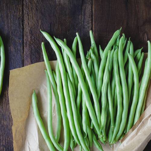 Climbing Bean- Blue Lake