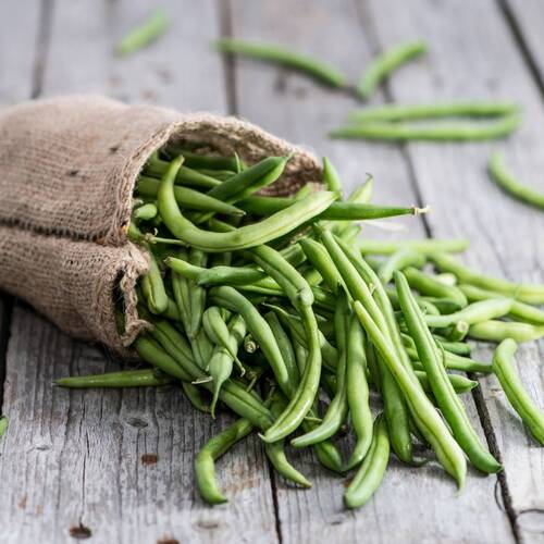 Bush Bean- Strike