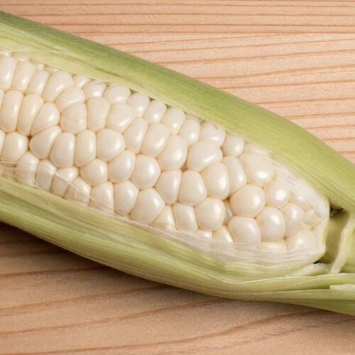 Corn, Sweet- Country Gentlemen