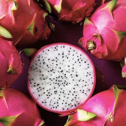 Dragon Fruit- Commercial White (Cutting)