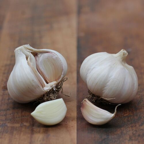 Garlic- Hillston (Bulb)