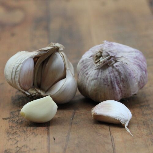 Garlic- Australian White (Bulb)