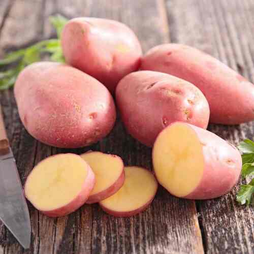 Certified Seed Potato- Red Lady PBR