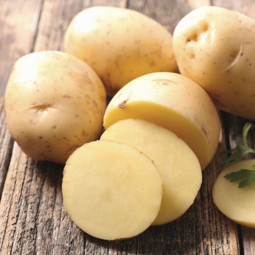 Certified Seed Potato- White Star
