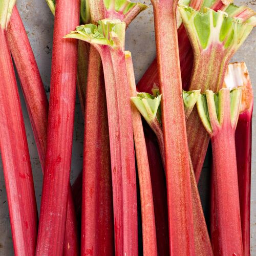 Rhubarb- Ever Red (Crown)