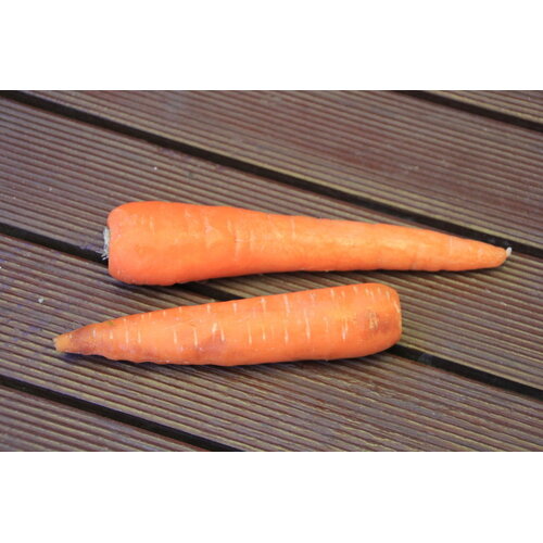 Carrot- All seasons 25g