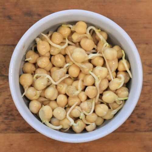 Sprouting Seeds- Chickpeas 100g ORGANIC
