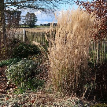 The Winter Garden Blues- Learning To Love The Quiet Season