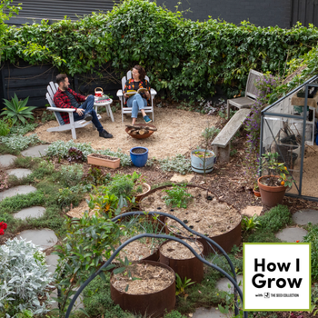 Buzzing In The Burbs! A Thriving Courtyard Sanctuary | With Alex Stott