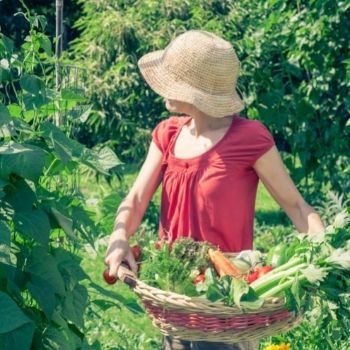 High-Yield Vegetables - How to Get the Most from Your Veggie Patch