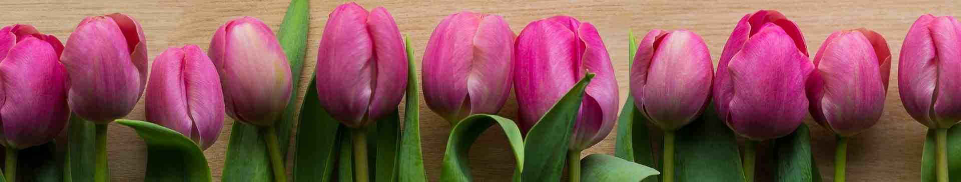 How to Grow Flower Bulbs