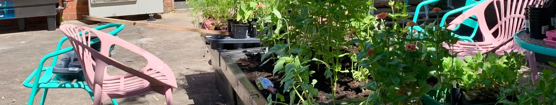 When Your Body Won't Cooperate- Finding A Way Back Into The Garden 