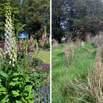 When Your Body Won't Cooperate- Finding A Way Back Into The Garden 