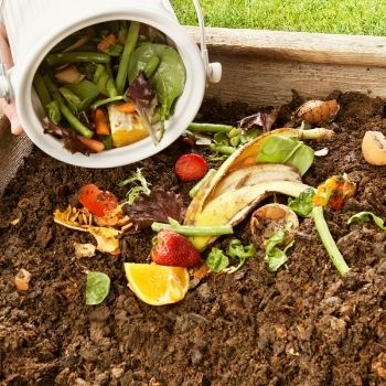 Dig and Drop Compost Holes - the Easy and Efficient Alternative to a Compost Heap
