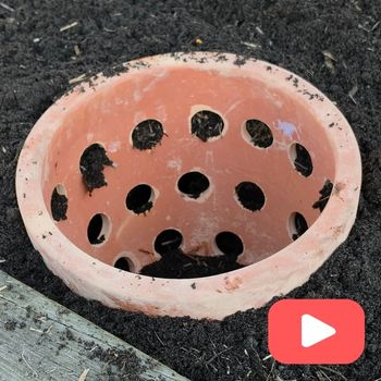 How To Make An In-ground Terracotta Worm Farm
