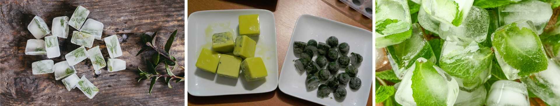 How to Make Herbal Ice Cubes to Preserve Your Fresh Herb Harvest