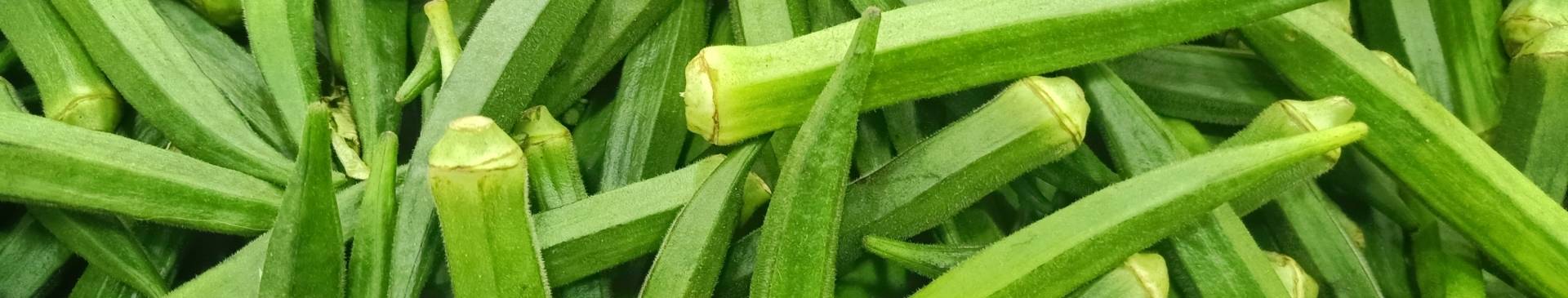 Okra: A Highly Productive, Heat-Loving Crop