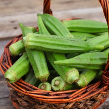 Okra: A Highly Productive, Heat-Loving Crop