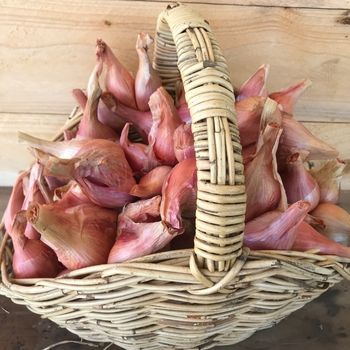 5 Storage Crops Every Gardener Should Grow