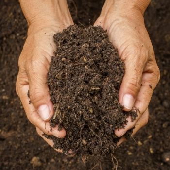 What’s in a handful of soil? Understanding the Soil Food Web