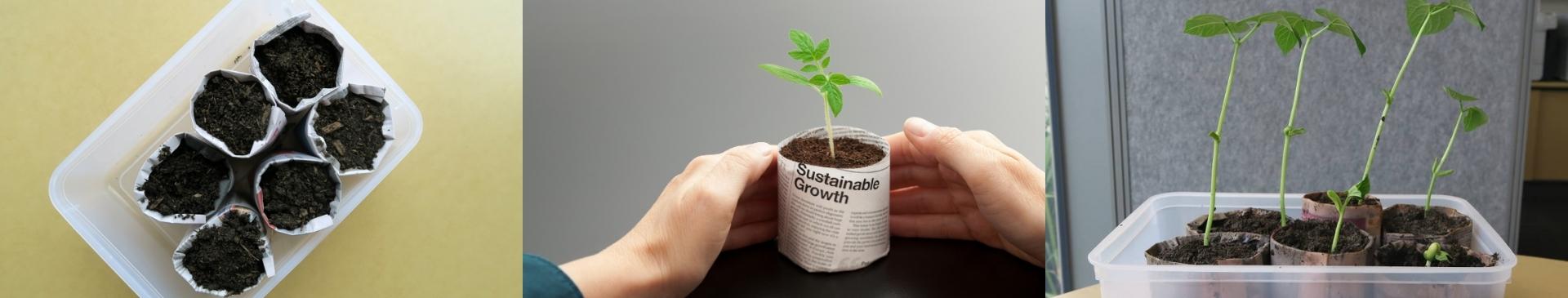 Newspaper Pots - Thrifty, Sustainable Seed Sowing 