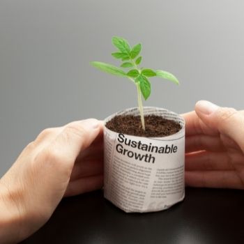 Newspaper Pots - Thrifty, Sustainable Seed Sowing 