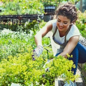 Why Gardening Isn't an Exact Science - and Why That Matters