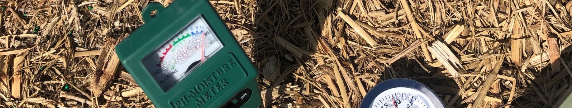 Preparing Your Garden For An El Niño Summer