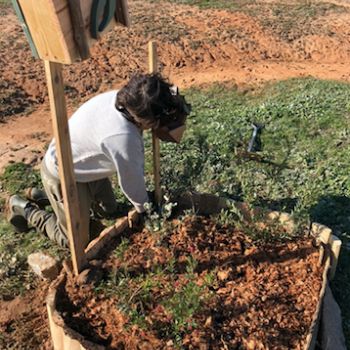 Preparing Your Garden For An El Niño Summer