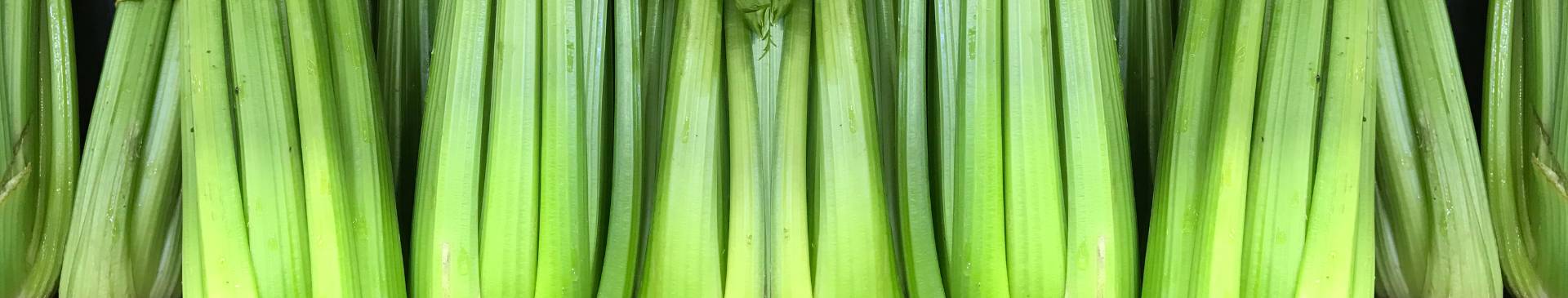 5 Tips for Growing Tender, Juicy Celery