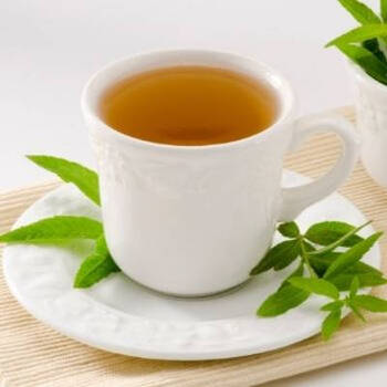 Lemon Verbena: A Zesty Addition to the Kitchen Garden