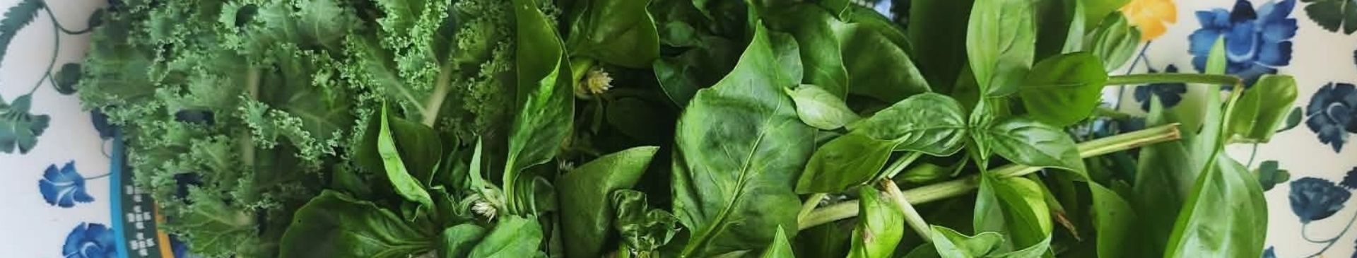 Homemade Basil Pesto: With Hidden Spinach And Kale!