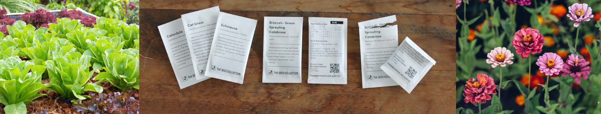 About Our Paper Seed Packets
