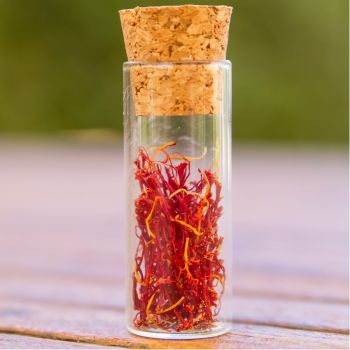 How to Grow and Harvest Saffron