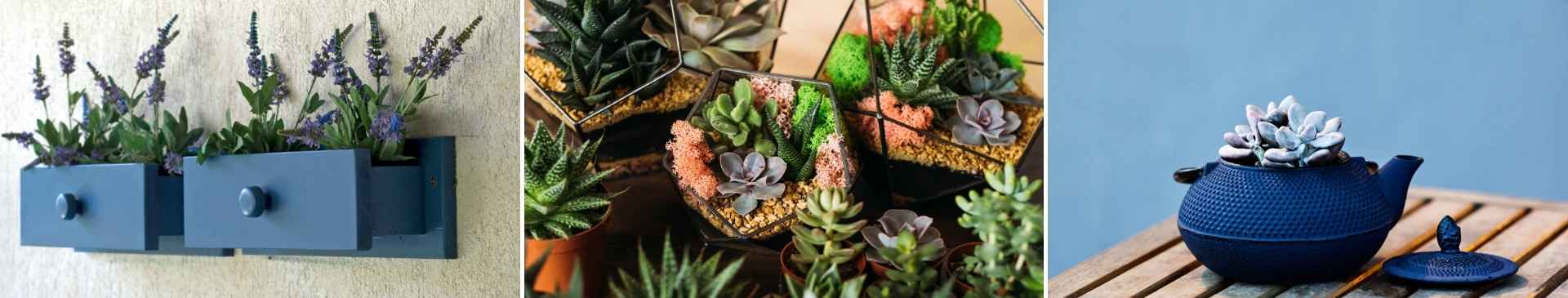 Crafty Containers: Unusual Alternatives to Conventional Pots
