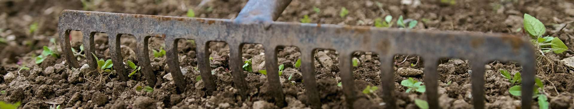 Preparing Your Soil for Sowing and Planting